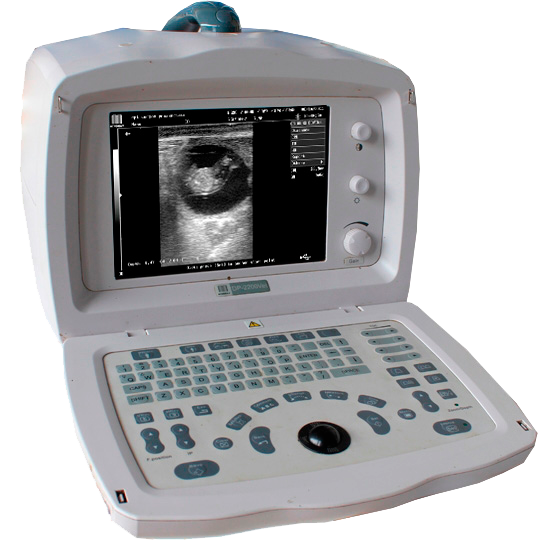 Mindray DP-2200 Vet