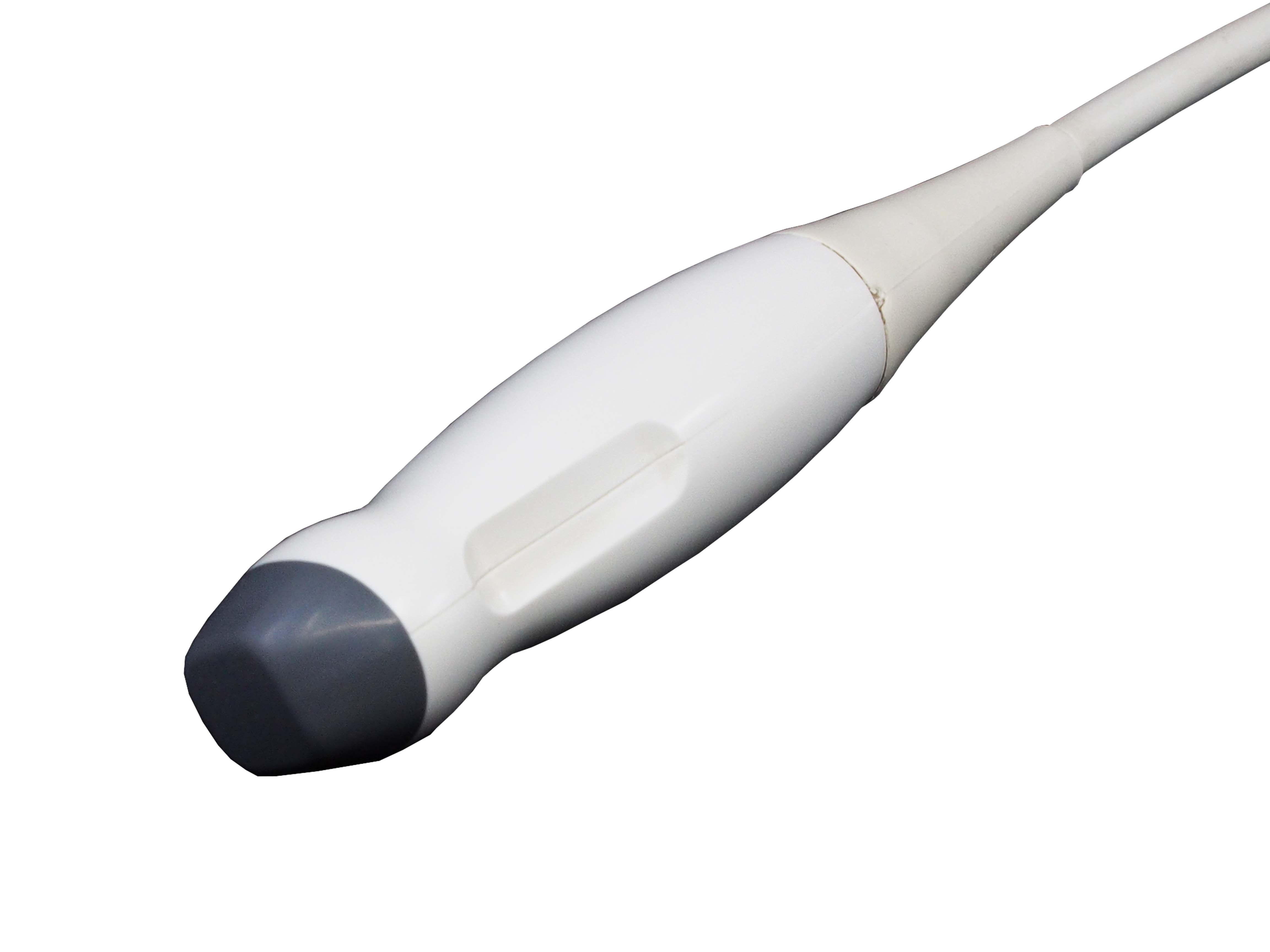 Esaote P2 3-11